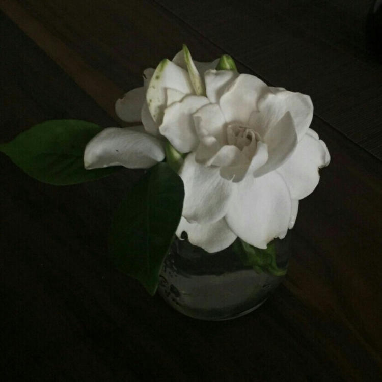 下司泰弘 - 多语言字幕在线观看 - 小程序直播